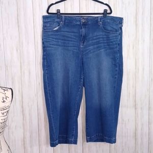 Size 26 Torrid Jeans